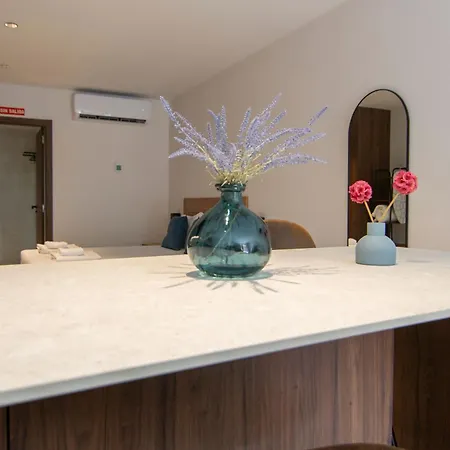 Apartment Vlc Host - Luz Casanova